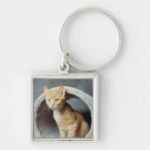 Orange Cat in Toy Key Ring