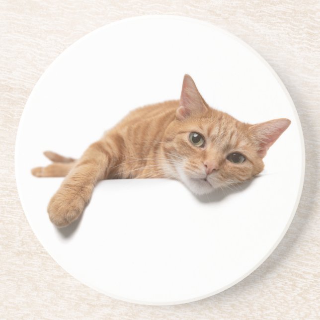 Orange Cat Laying Down Coaster (Front)