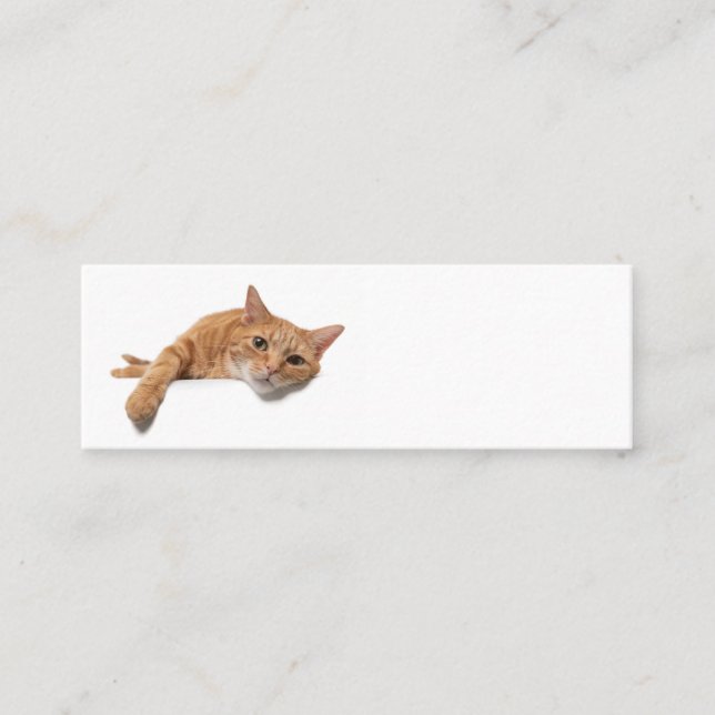 Orange Cat Laying Down Mini Business Card (Front)