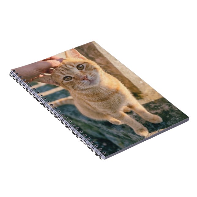 Orange Cat Notebook (Right Side)