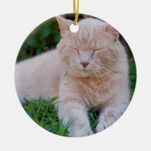 Orange Cat Ornament