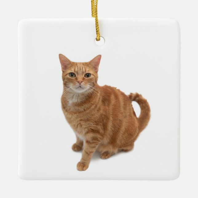 Orange Cat Standing Ceramic Ornament (Front)