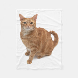 Orange Cat Standing Fleece Blanket