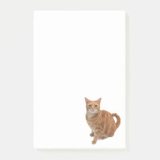 Orange Cat Standing Post-it Notes