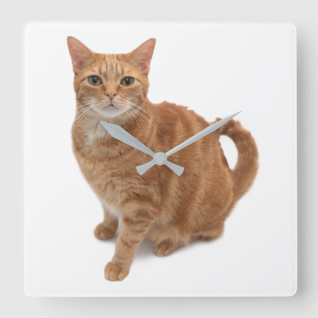 Orange Cat Standing Square Wall Clock (Front)