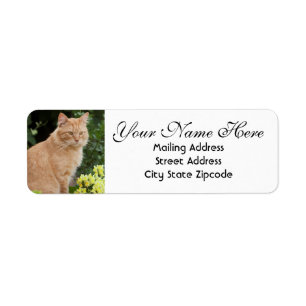 Orange Cat with Flowers Return Address