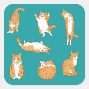 Orange Cats Funny Square Sticker