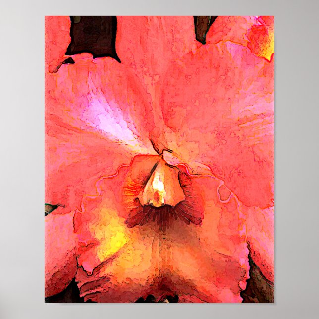 Orange Cattleya Orchid Poster (Front)