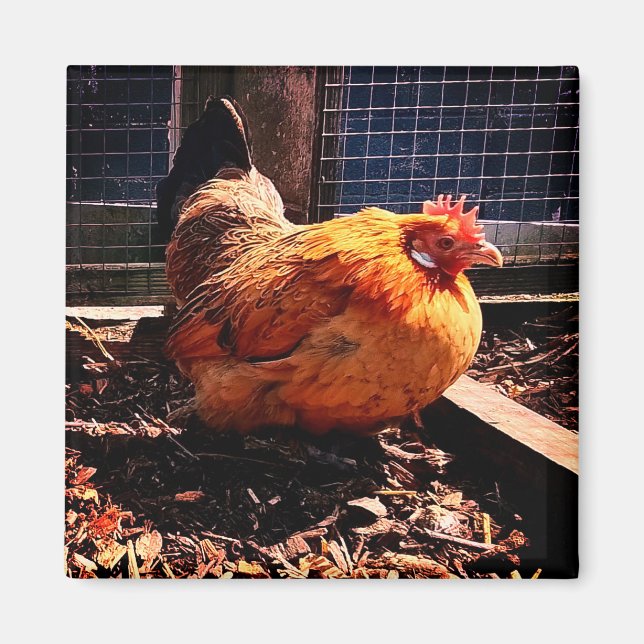 Orange chicken magnet (Front)