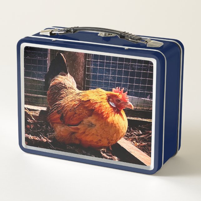 Orange chicken metal lunch box (Back)