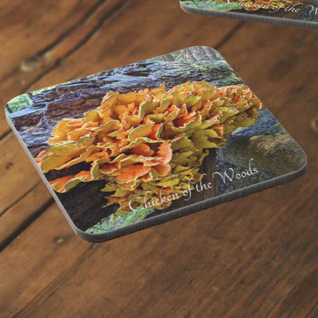 Orange Chicken of the Woods Mushroom Coaster (In Situ)