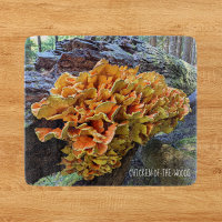 Orange Chicken of the Woods Mushroom