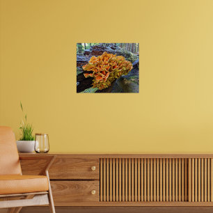 Orange Chicken of the Woods Mushroom Poster