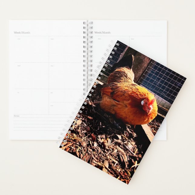 Orange chicken planner (Display)