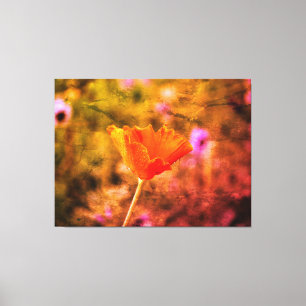 Orange chiffon poppy and wall canvas print