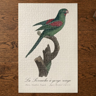 Orange-Chinned Parakeet, Brotogeris jugularis Jigsaw Puzzle