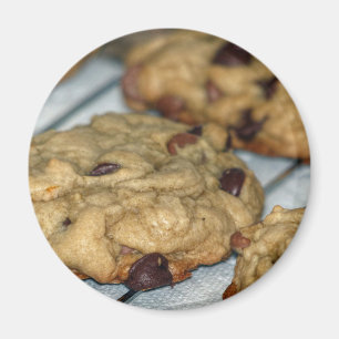 Orange Chocolate Chip Cookies Magnet