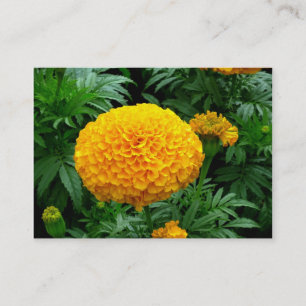 Orange Chrysanthemum Business Card