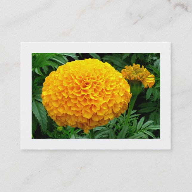 Orange Chrysanthemum Business Card (Front)