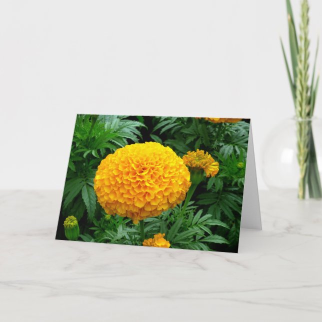 Orange Chrysanthemum Card (Front)