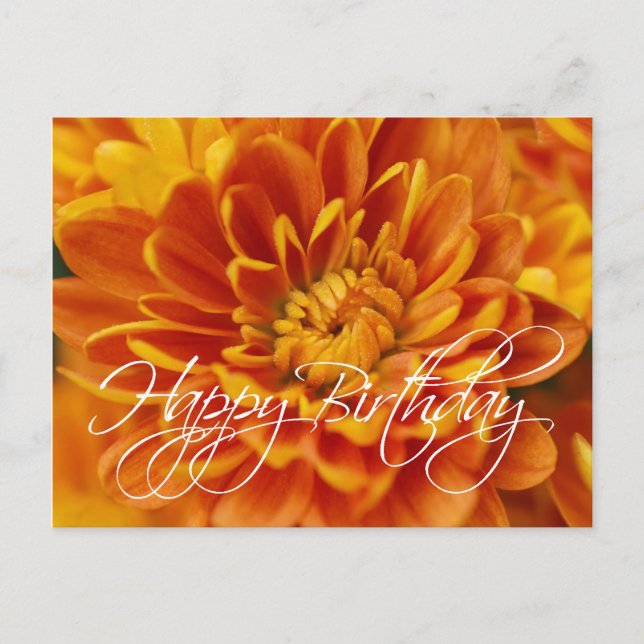 Orange Chrysanthemum Happy Birthday Postcard (Front)