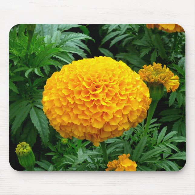 Orange Chrysanthemum Mouse Pad (Front)