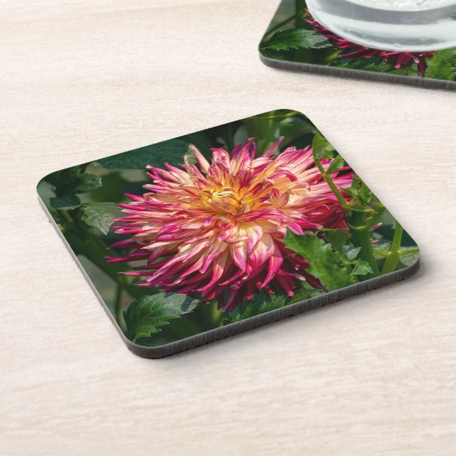 Orange Chrysanthemum Photography, Canadian Beauty Coaster (Left Side)