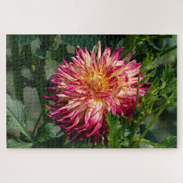 Orange Chrysanthemum Photography, Canadian Beauty Jigsaw Puzzle (Horizontal)