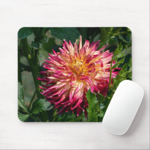 Orange Chrysanthemum Photography, Canadian Flower Mouse Pad