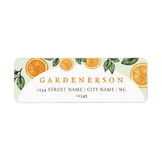 Orange Citrus Fruit