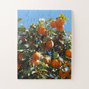 orange, citrus, fruit, fresh, slice, food, ripe, jigsaw puzzle