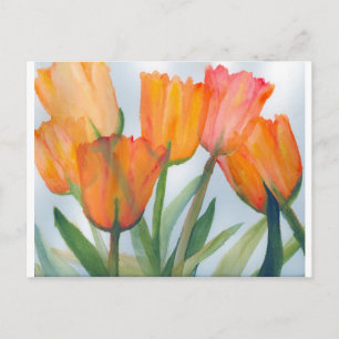 Orange Citrus Tulips Postcard