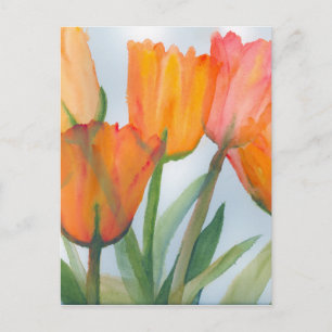 Orange Citrus Tulips Postcard