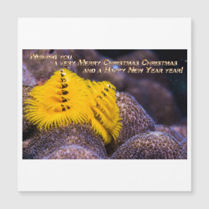Orange colour Christmas Tree Worm