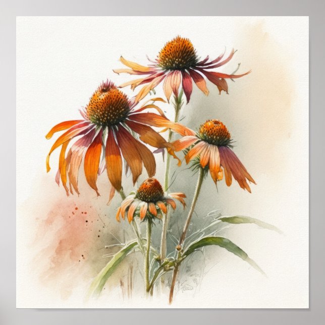 Orange Coneflowers Art Print Poster (Front)