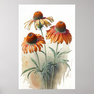Orange Coneflowers Art Print Poster