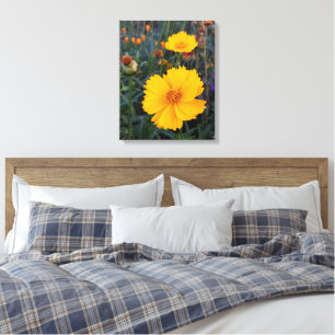 Orange Cosmos In The Foreground Photograph Canvas Print