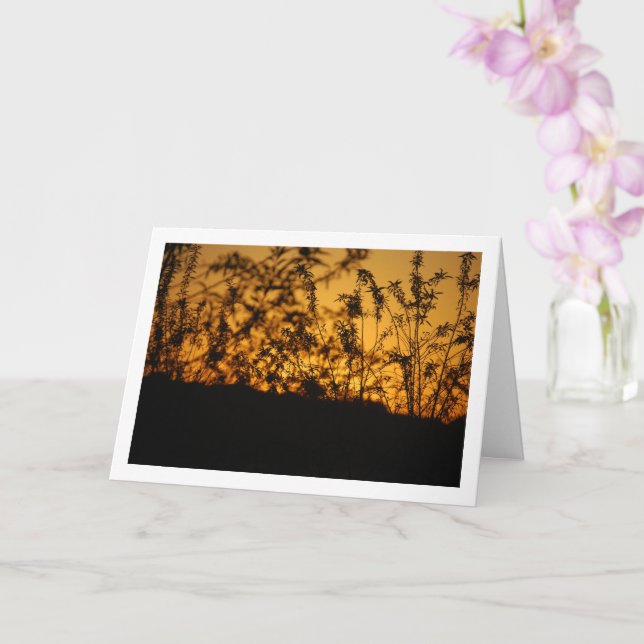 Orange Country Sunset Silhouette Landscape Card (Orchid)