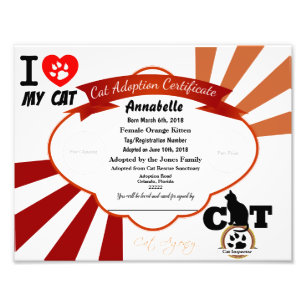 Orange Customisable Cat Adoption Certificate Photo Print