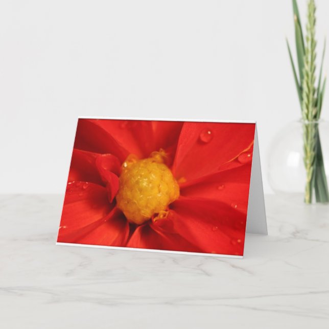 Orange Dahlia Card (Front)