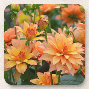 Orange dahlia flower garden coaster