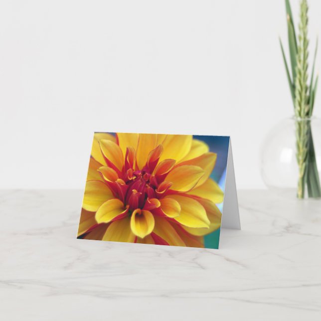 Orange Dahlia Greeting Card (Front)
