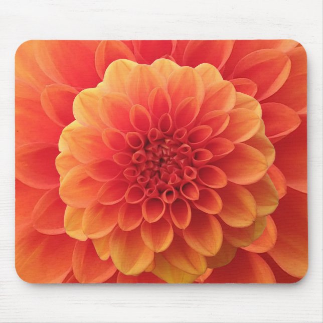 Orange Dahlia Mouse Pad (Front)