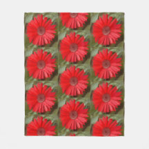 Orange Daisy Botanical Floral