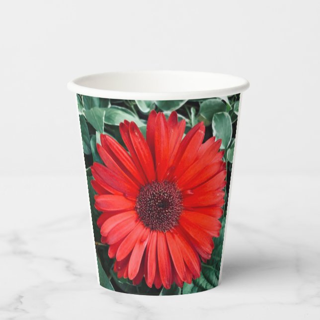 Orange Daisy Botanical Party Paper Cups (Front)