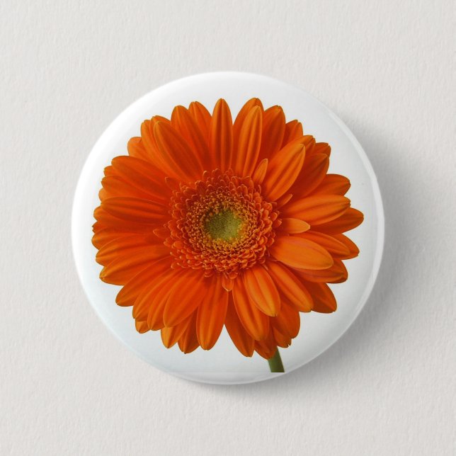Orange Daisy Button (Front)