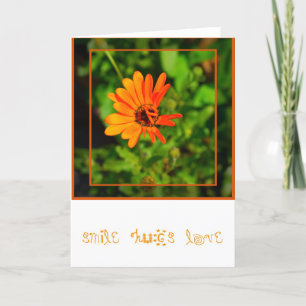 Orange Daisy-CARD Card