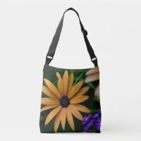 Orange Daisy