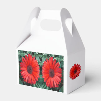 Orange Daisy Favour Box