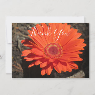 Orange  Daisy Floral Photo  Thank You Card
